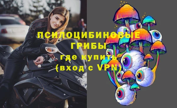 a pvp Аркадак
