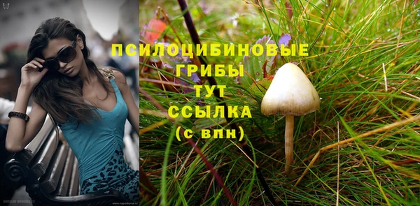 трава Арсеньев