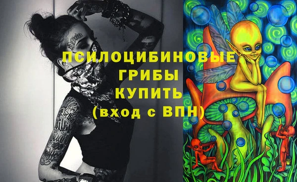 a pvp Аркадак